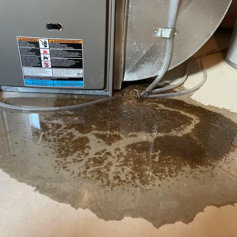 Appliance Leak Cleanup in Athens, TN